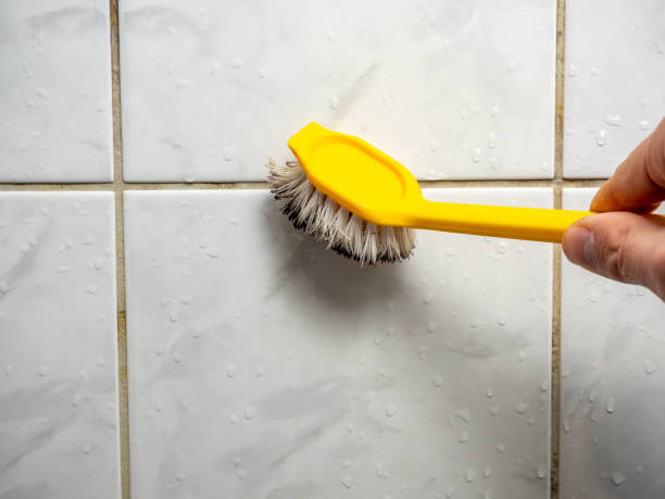 Best Mold Damage Repair  in Waldwick, NJ