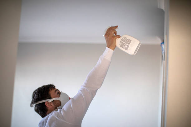 Best Crawl Space Mold Removal  in Waldwick, NJ